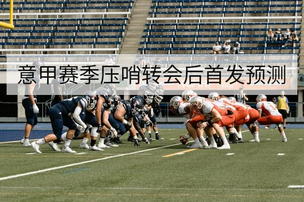 意甲赛季压哨转会后首发预测